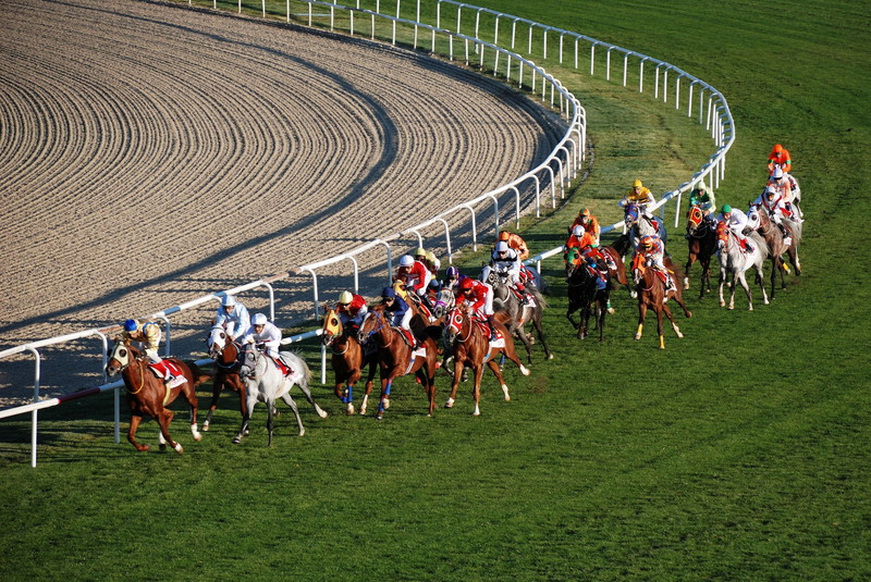 競馬